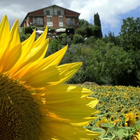 ホテル サンガロ Montepulciano Stazione エクステリア 写真