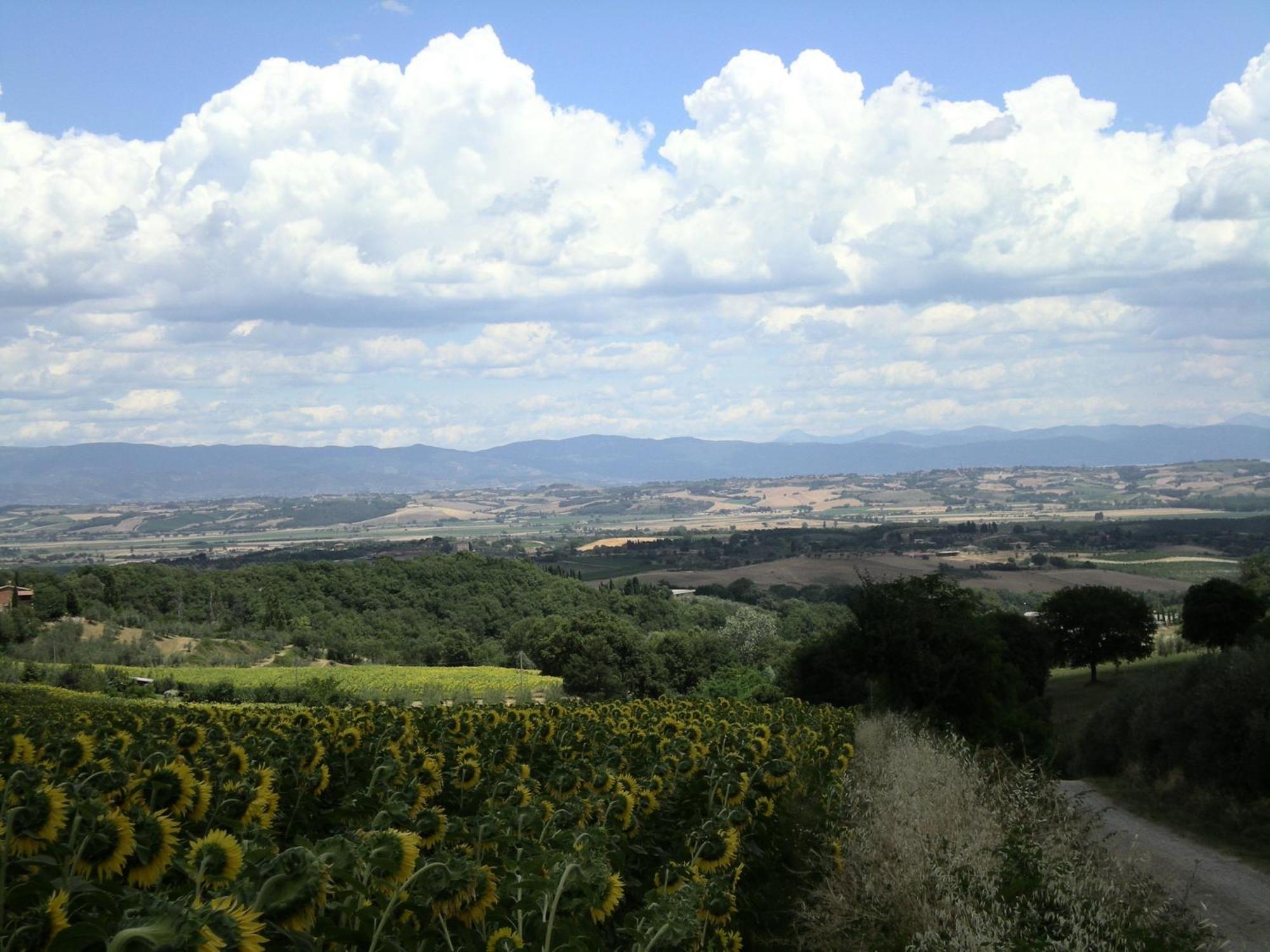 ホテル サンガロ Montepulciano Stazione エクステリア 写真